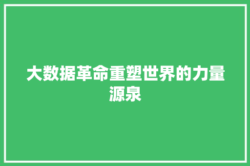 大数据革命重塑世界的力量源泉 大数据革命重塑世界的力量源泉