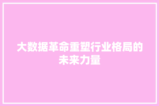 大数据革命重塑行业格局的未来力量 大数据革命重塑行业格局的未来力量