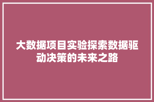 大数据项目实验探索数据驱动决策的未来之路
