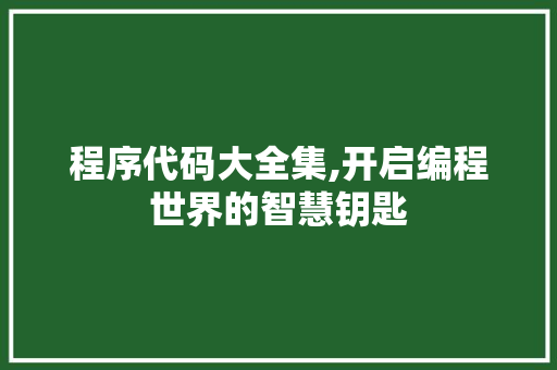 程序代码大全集,开启编程世界的智慧钥匙 程序代码大全集,开启编程世界的智慧钥匙 编程语言