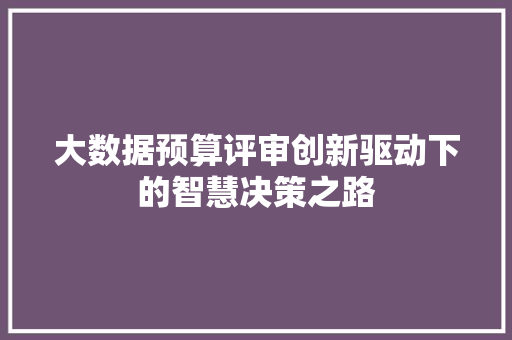大数据预算评审创新驱动下的智慧决策之路 大数据预算评审创新驱动下的智慧决策之路