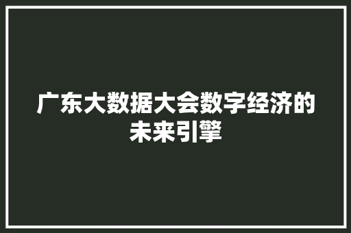 广东大数据大会数字经济的未来引擎 广东大数据大会数字经济的未来引擎