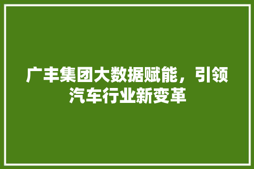 广丰集团大数据赋能，引领汽车行业新变革