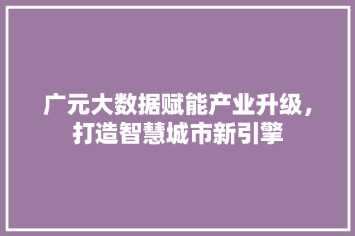 广元大数据赋能产业升级，打造智慧城市新引擎