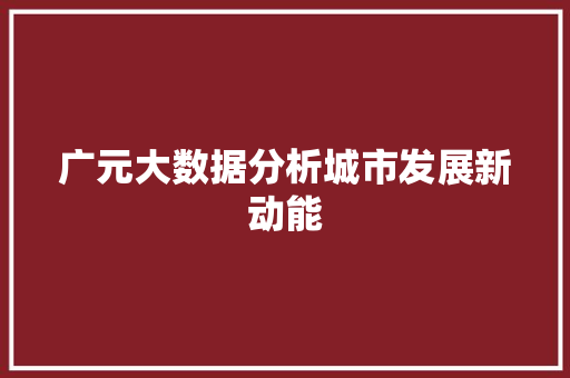 广元大数据分析城市发展新动能