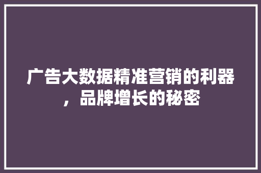 广告大数据精准营销的利器，品牌增长的秘密