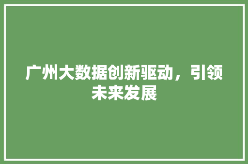 广州大数据创新驱动，引领未来发展