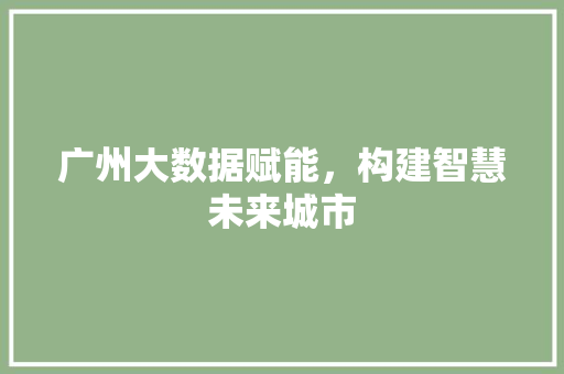 广州大数据赋能，构建智慧未来城市