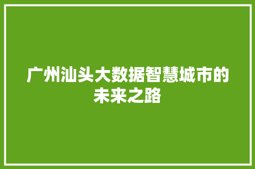 广州汕头大数据智慧城市的未来之路