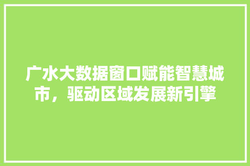 广水大数据窗口赋能智慧城市，驱动区域发展新引擎