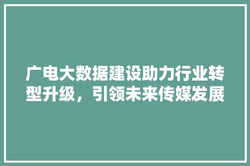 广电大数据建设助力行业转型升级，引领未来传媒发展新格局