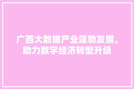 广西大数据产业蓬勃发展，助力数字经济转型升级
