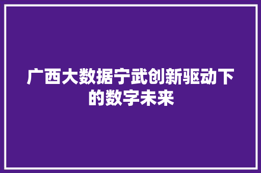 广西大数据宁武创新驱动下的数字未来 广西大数据宁武创新驱动下的数字未来