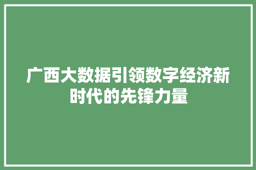 广西大数据引领数字经济新时代的先锋力量