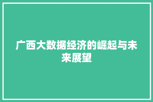 广西大数据经济的崛起与未来展望 广西大数据经济的崛起与未来展望