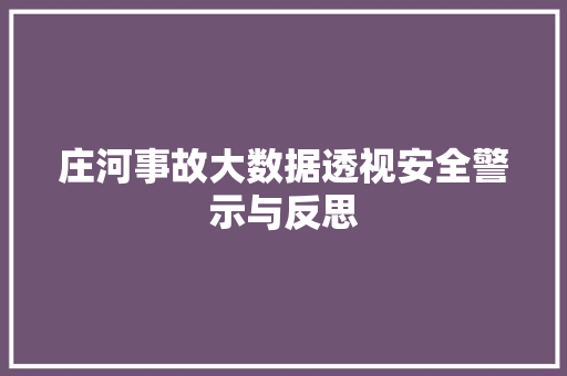 庄河事故大数据透视安全警示与反思