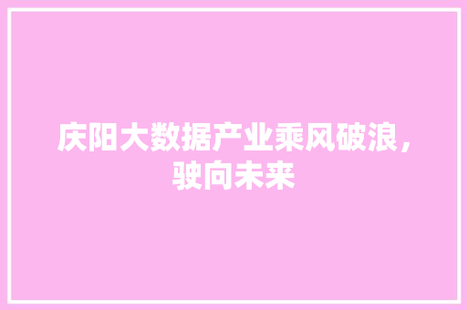 庆阳大数据产业乘风破浪,驶向未来 庆阳大数据产业乘风破浪,驶向未来
