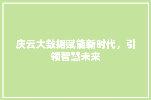 庆云大数据赋能新时代,引领智慧未来 庆云大数据赋能新时代,引领智慧未来