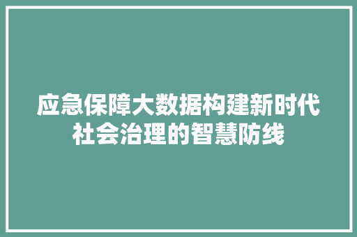 应急保障大数据构建新时代社会治理的智慧防线