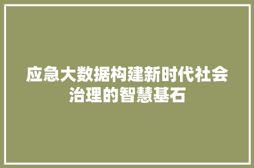 应急大数据构建新时代社会治理的智慧基石 应急大数据构建新时代社会治理的智慧基石