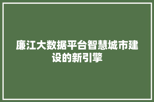廉江大数据平台智慧城市建设的新引擎
