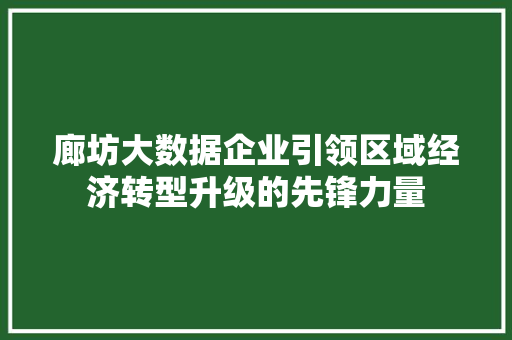 廊坊大数据企业引领区域经济转型升级的先锋力量