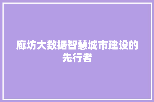 廊坊大数据智慧城市建设的先行者