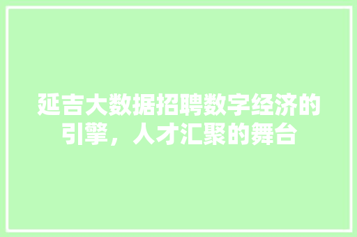 延吉大数据招聘数字经济的引擎，人才汇聚的舞台