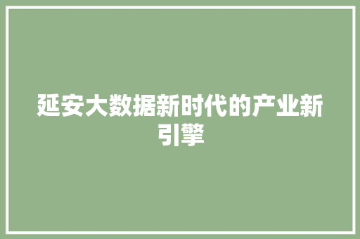 延安大数据新时代的产业新引擎
