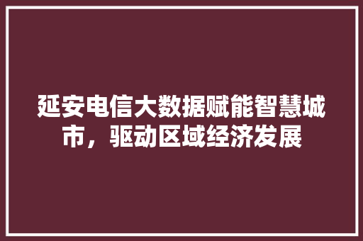 延安电信大数据赋能智慧城市，驱动区域经济发展