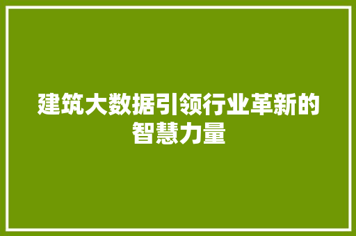 建筑大数据引领行业革新的智慧力量