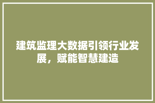 建筑监理大数据引领行业发展,赋能智慧建造 建筑监理大数据引领行业发展,赋能智慧建造