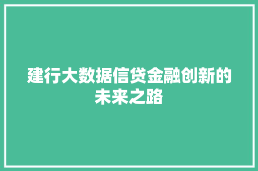 建行大数据信贷金融创新的未来之路