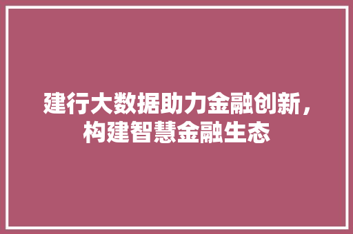 建行大数据助力金融创新，构建智慧金融生态