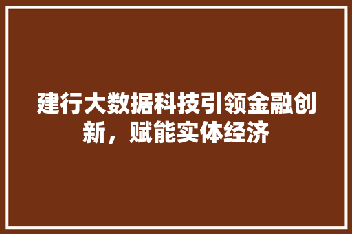 建行大数据科技引领金融创新，赋能实体经济