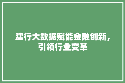 建行大数据赋能金融创新，引领行业变革