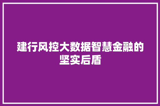 建行风控大数据智慧金融的坚实后盾