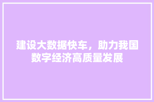 建设大数据快车，助力我国数字经济高质量发展