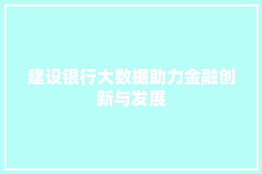 建设银行大数据助力金融创新与发展