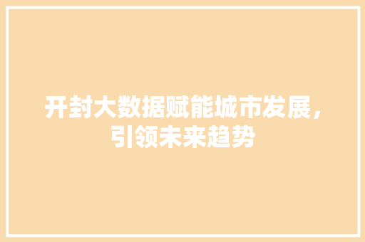 开封大数据赋能城市发展，引领未来趋势