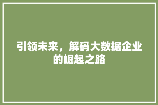 引领未来，解码大数据企业的崛起之路