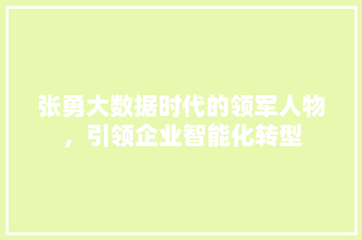 张勇大数据时代的领军人物,引领企业智能化转型 操作系统 张勇大数据时代的领军人物,引领企业智能化转型 操作系统