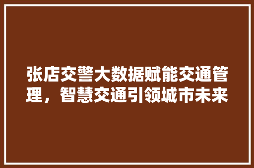 张店交警大数据赋能交通管理，智慧交通引领城市未来