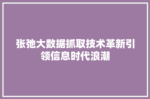 张弛大数据抓取技术革新引领信息时代浪潮