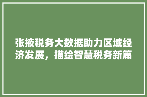 张掖税务大数据助力区域经济发展，描绘智慧税务新篇章