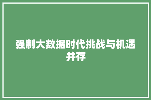 强制大数据时代挑战与机遇并存