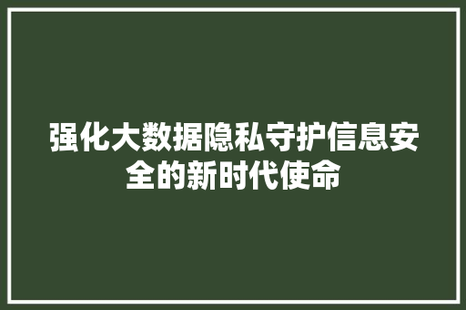 强化大数据隐私守护信息安全的新时代使命