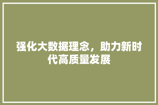 强化大数据理念，助力新时代高质量发展