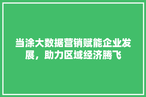 当涂大数据营销赋能企业发展,助力区域经济腾飞 当涂大数据营销赋能企业发展,助力区域经济腾飞