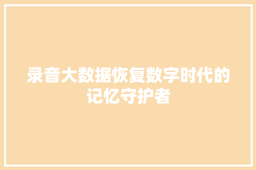 录音大数据恢复数字时代的记忆守护者